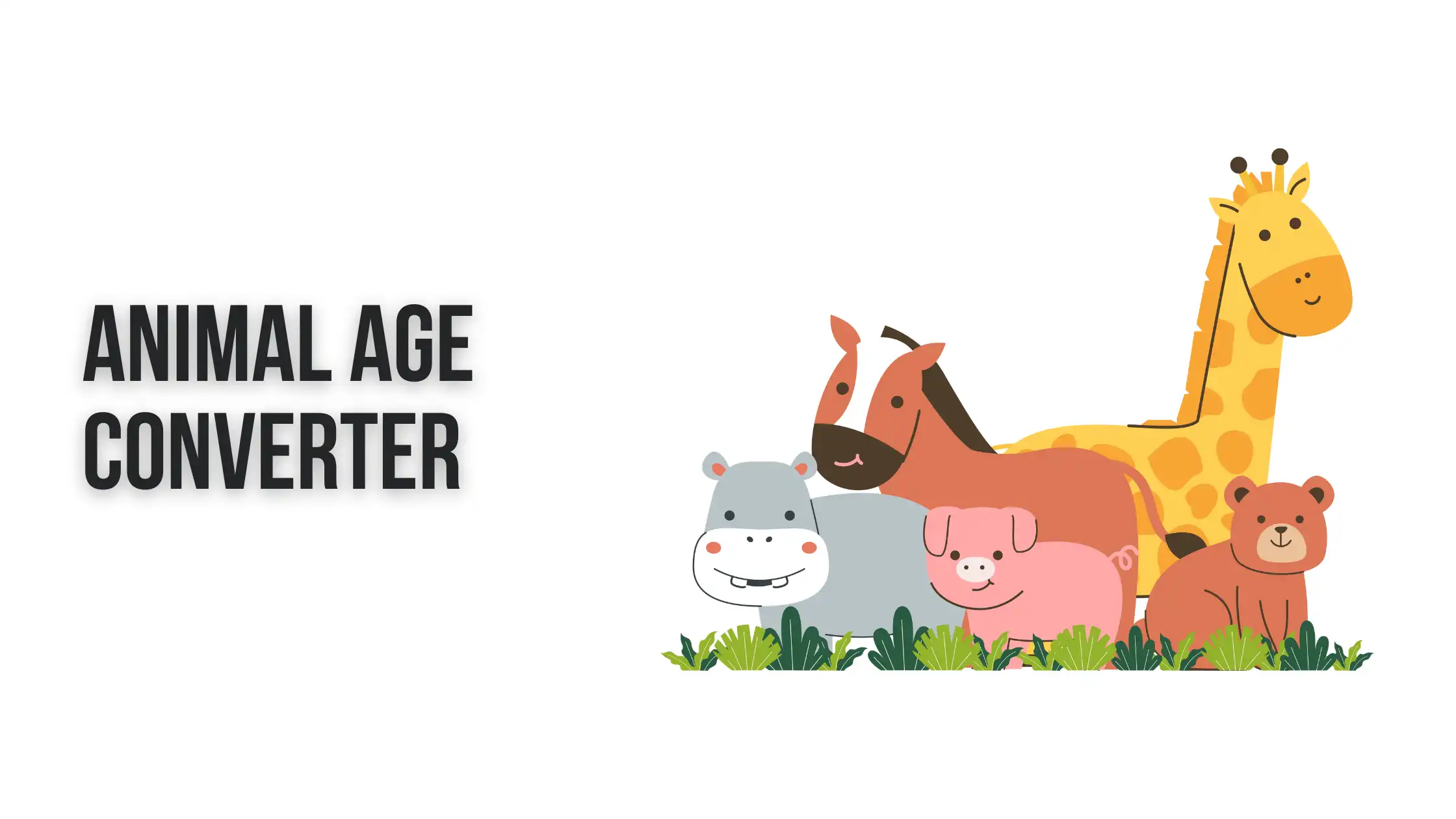 Illustration of an animal age converter showing pet age in human years for dogs, cats, and other animals