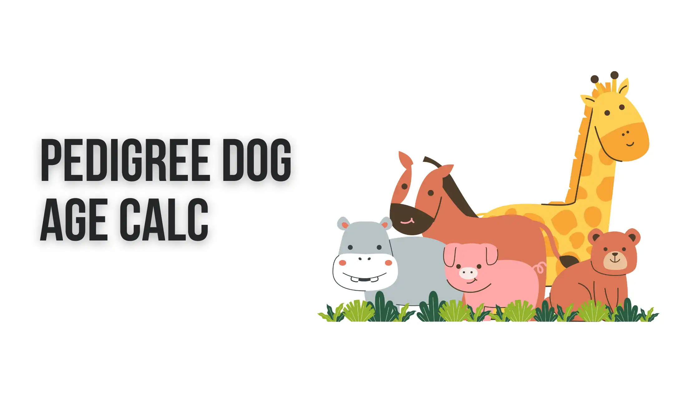 Pedigree Dog Age Calc: How to Convert Dog Years to Human Years Accurately