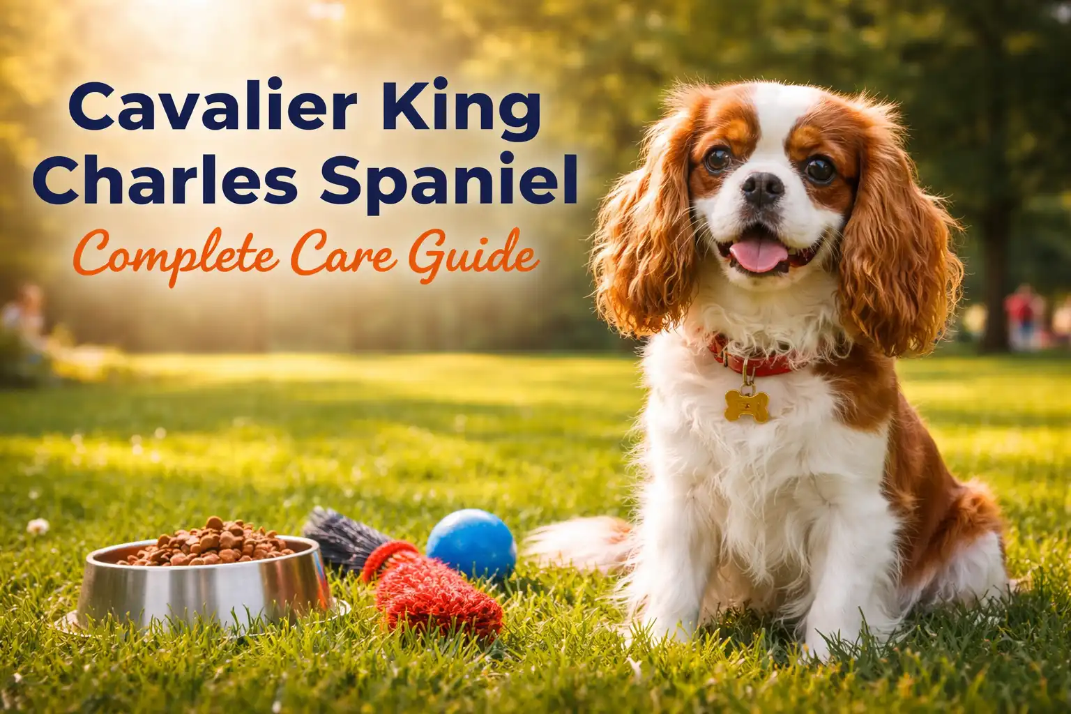 Cavalier King Charles Spaniel Dog: Complete Expert Guide