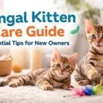 Two Bengal kittens with spotted coats and blue-green eyes playing on a carpeted floor with toys in a bright indoor room
