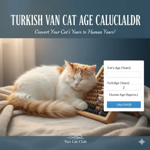 Turkish Van cat age calculator chart converting cat years to human years